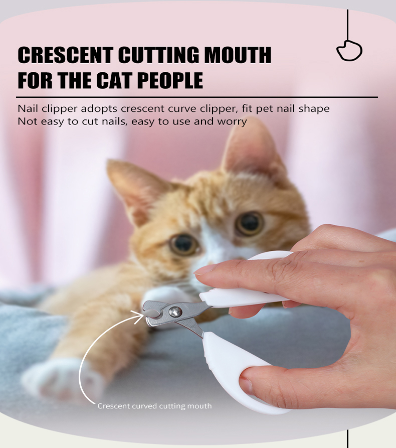 Pet Grooming Set Slicker Brush Nail Clipper Dog Cat Grooming Kit with Chew Toy