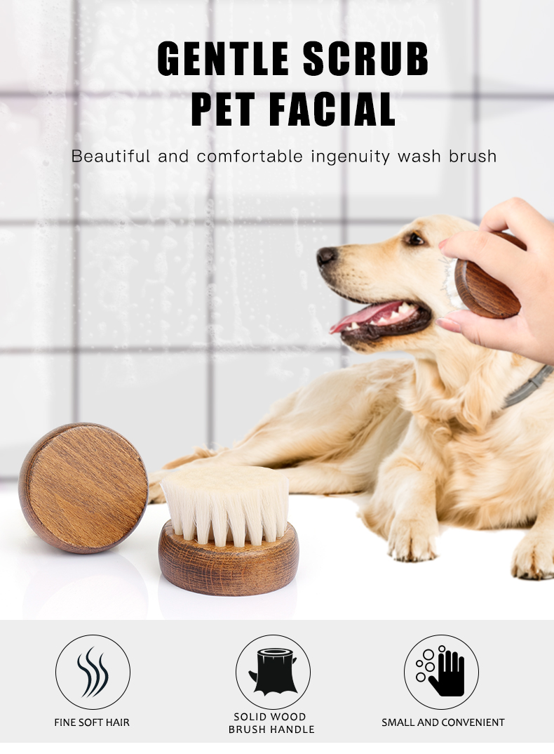  MIni Wooden Soft Bristle Pet Massage Brush 