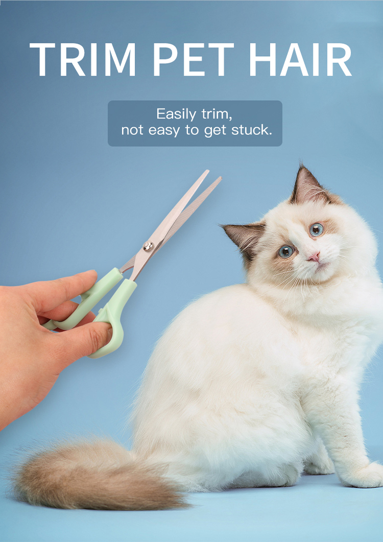 Factory Wholesale Custom Logo Cat Hair Scissors Dog Pet Grooming Scissors Set with Stainless Steel Comb