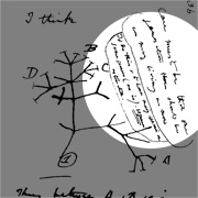 Darwin annotated his own sketch