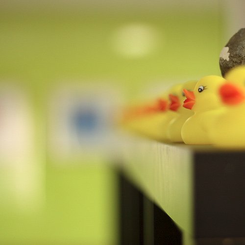 Duckies